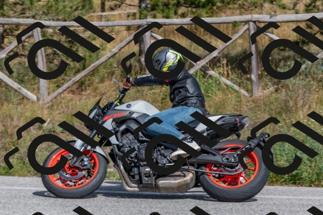 202509071515-DSC_0509_c4_