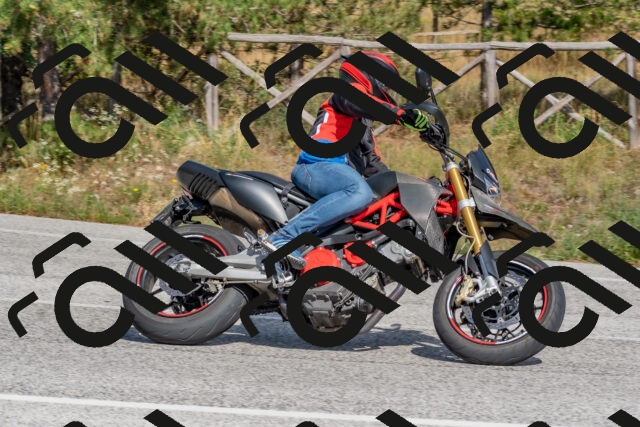 202509071516-DSC_0514_c4_