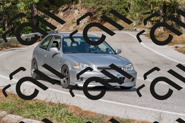 202509071517-DSC_0520_c4_