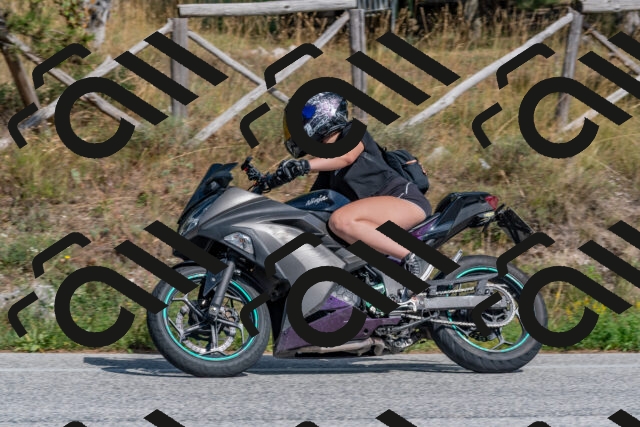 202509071518-DSC_0533_c4_