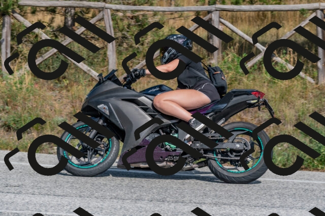 202509071518-DSC_0534_c4_