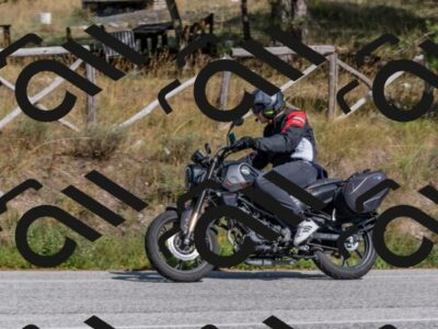 202509071526-DSC_0619_c4_