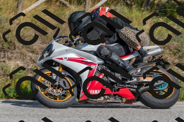 202509071526-DSC_0631_c4_