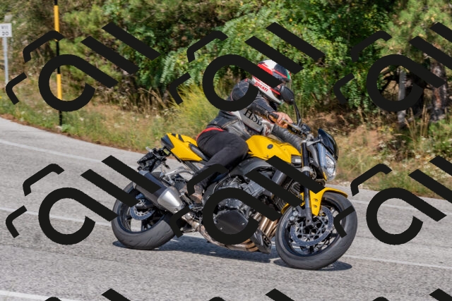 202509071529-DSC_0645_c4_