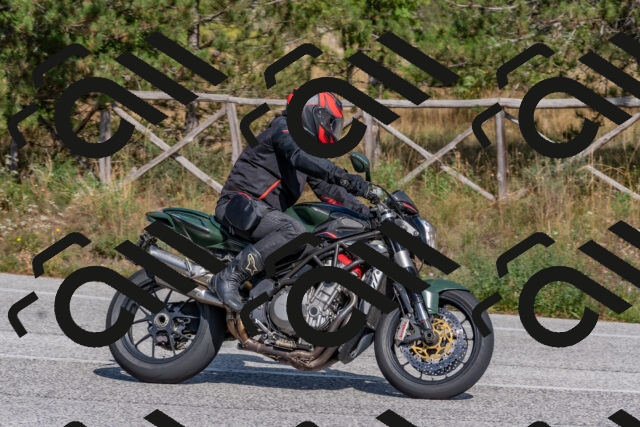 202509071529-DSC_0650_c4_