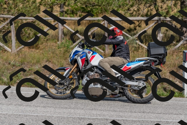 202509071530-DSC_0671_c4_