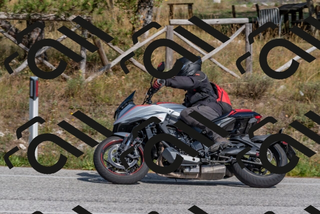 202509071531-DSC_0676_c4_