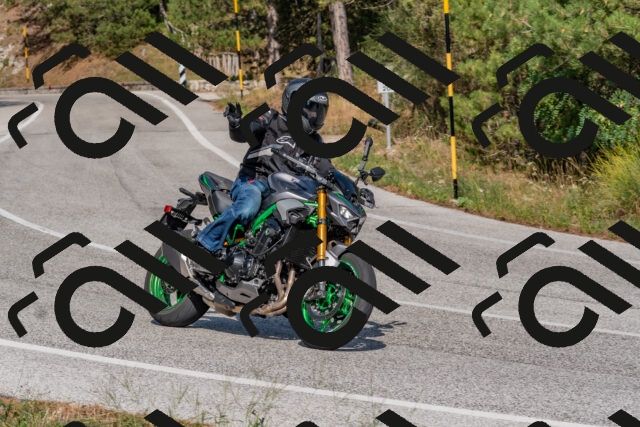 202509071532-DSC_0678_c4_