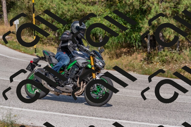 202509071532-DSC_0679_c4_