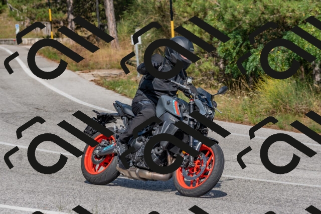 202509071532-DSC_0680_c4_