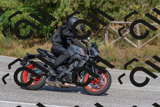 202509071532-DSC_0681_c4_