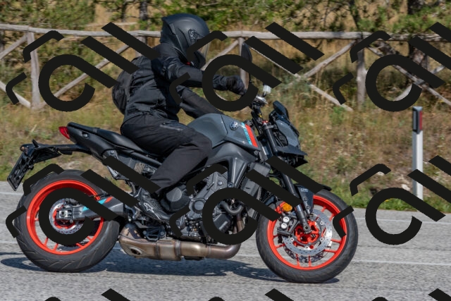 202509071532-DSC_0682_c4_