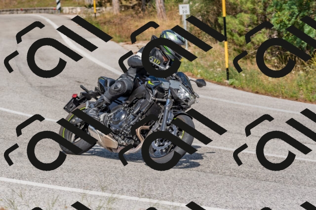 202509071533-DSC_0689_c4_