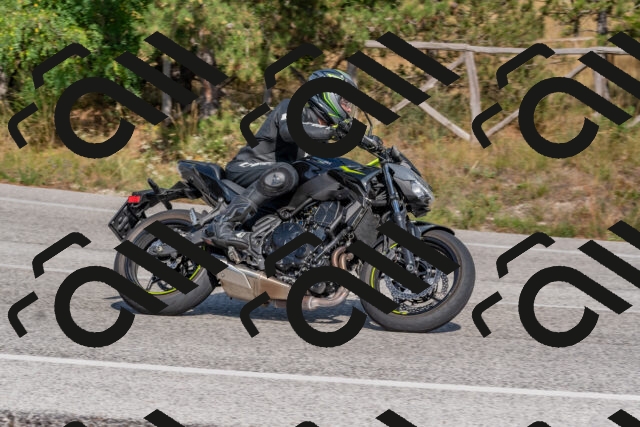 202509071533-DSC_0690_c4_