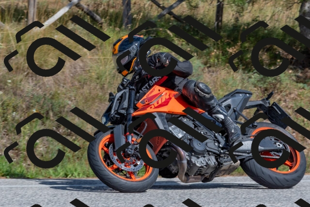 202509071533-DSC_0694_c4_