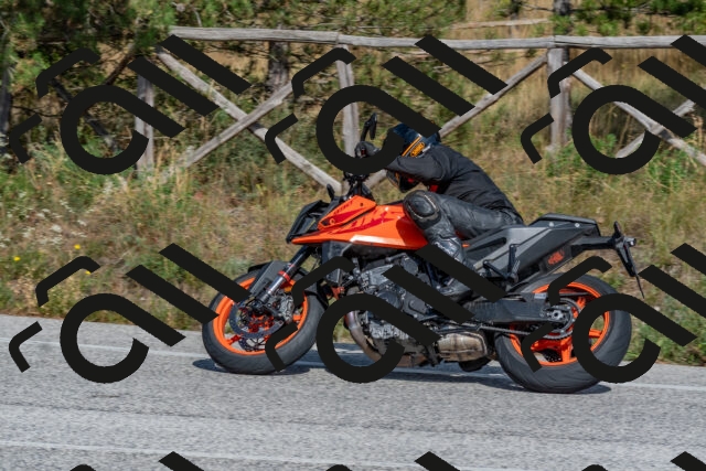 202509071533-DSC_0696_c4_