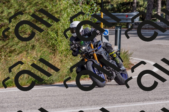 202509071533-DSC_0697_c4_