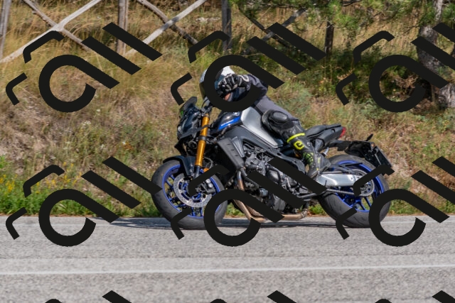 202509071533-DSC_0699_c4_