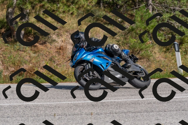 202509071533-DSC_0700_c4_