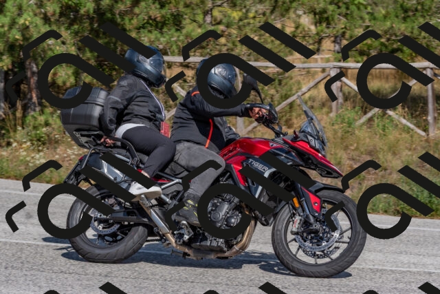 202509071536-DSC_0712_c4_