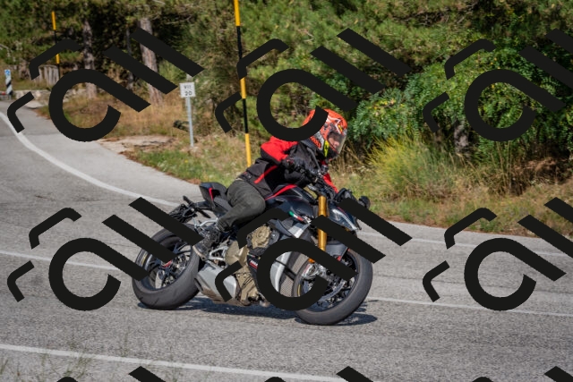 202509071537-DSC_0718_c4_