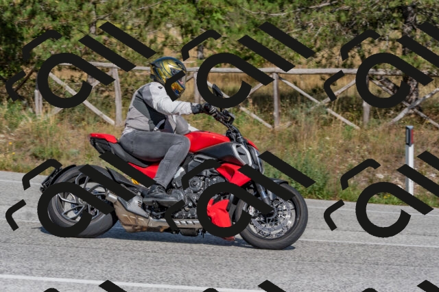 202509071537-DSC_0723_c4_