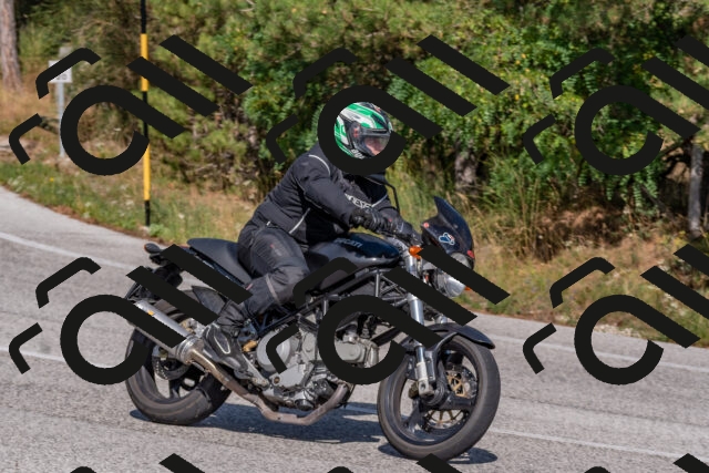 202509071539-DSC_0732_c4_