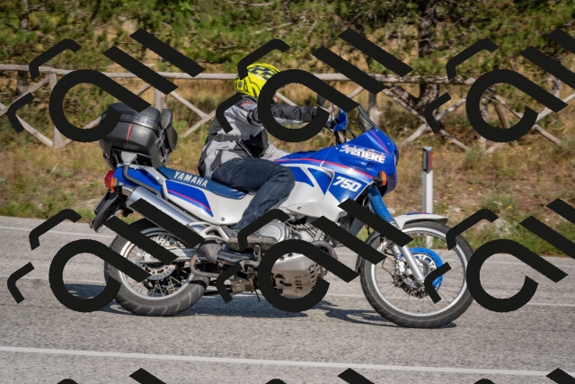 202509071539-DSC_0739_c4_