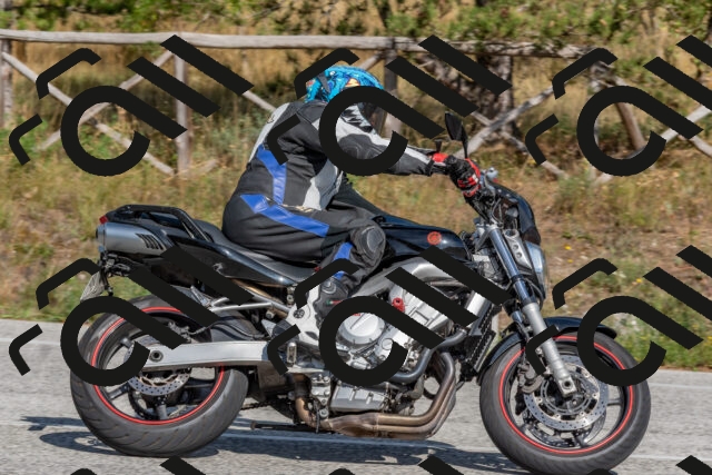 202509071542-DSC_0769_c4_