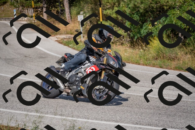 202509071542-DSC_0784_c4_