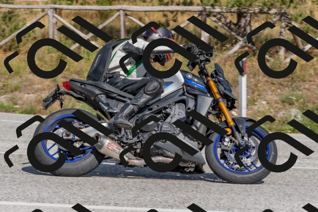 202509071543-DSC_0796_c4_