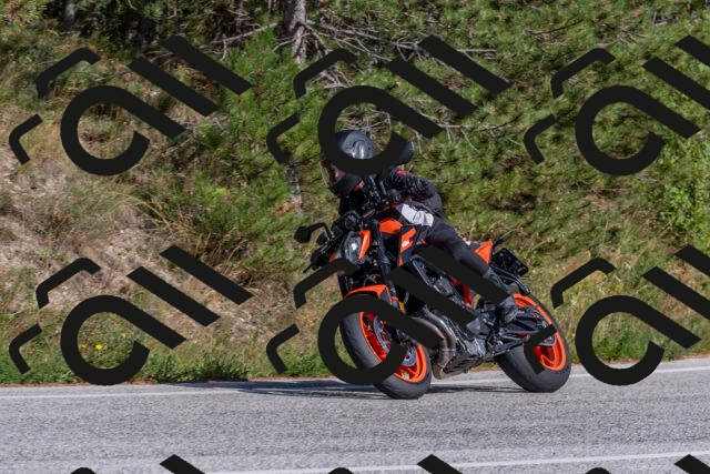 202509071544-DSC_0819_c4_