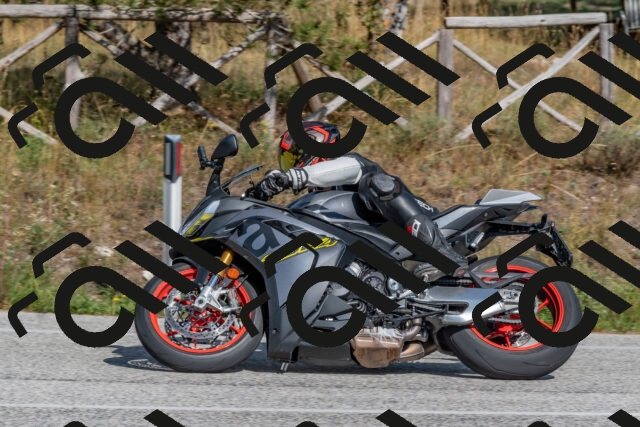 202509071544-DSC_0826_c4_