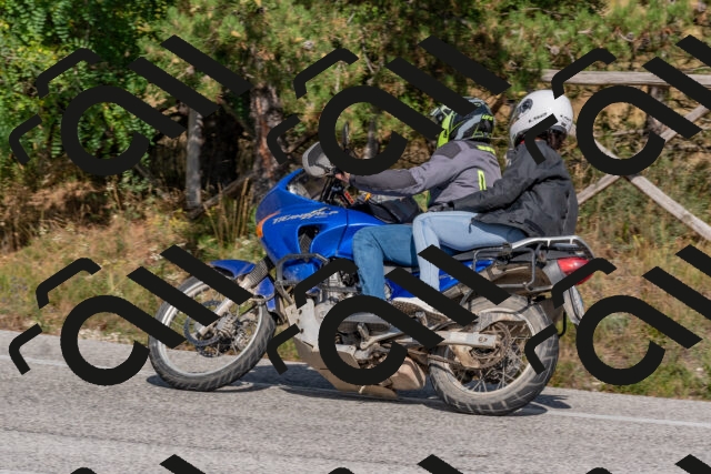 202509071545-DSC_0841_c4_