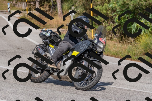 202509071547-DSC_0847_c4_