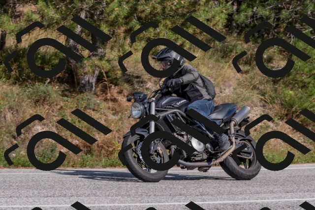 202509071548-DSC_0861_c4_