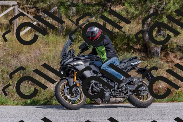 202509071549-DSC_0878_c4_