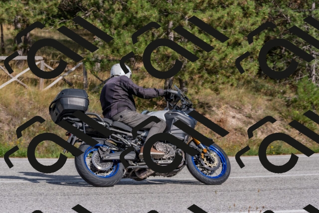 202509071552-DSC_0917_c4_