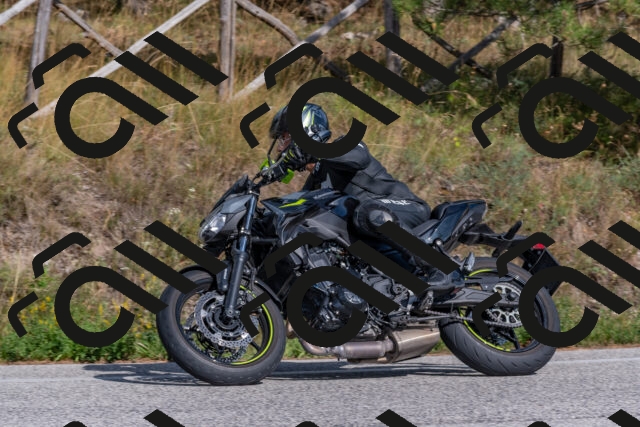 202509071555-DSC_0937_c4_