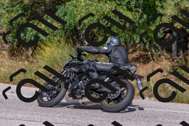 202509071555-DSC_0938_c4_