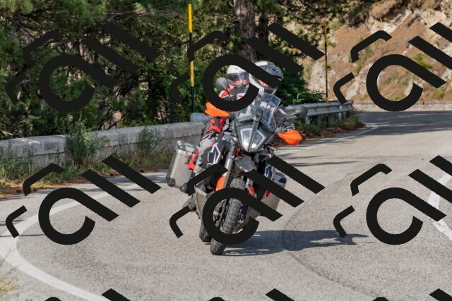 202509071555-DSC_0943_c4_