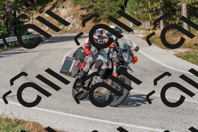 202509071555-DSC_0944_c4_