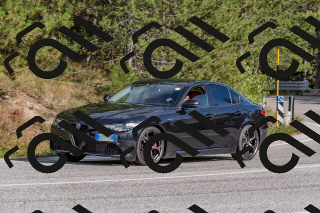 202509071603-DSC_0981_c4_