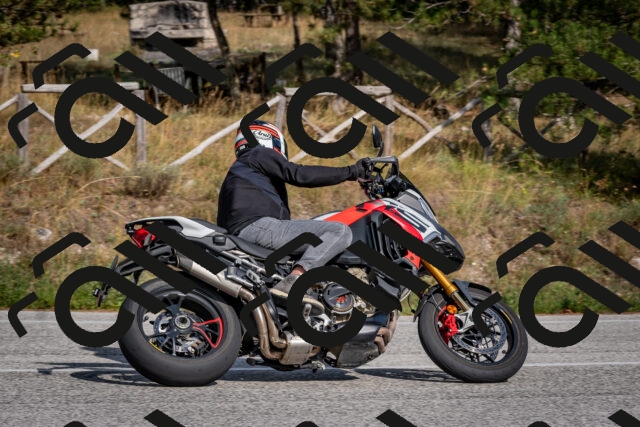 202509071608-DSC_1018_c4_