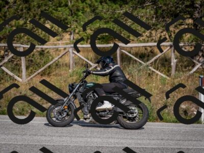 202509071609-DSC_1035_c4_