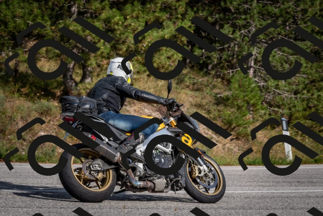 202509071609-DSC_1054_c4