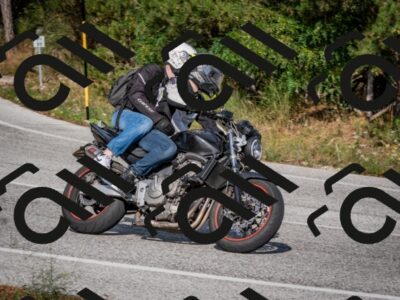 202509071613-DSC_1114_c4