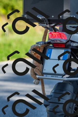 20250906091251-R01_4611_r1