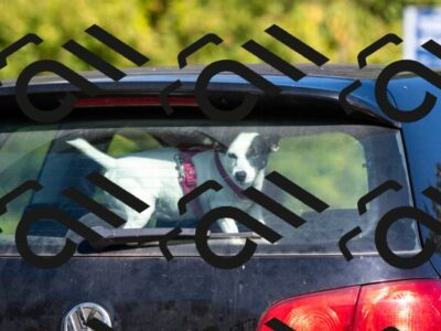 20250906103115-R01_4995_r1