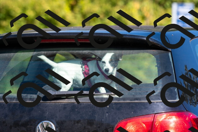 20250906103115-R01_4995_r1